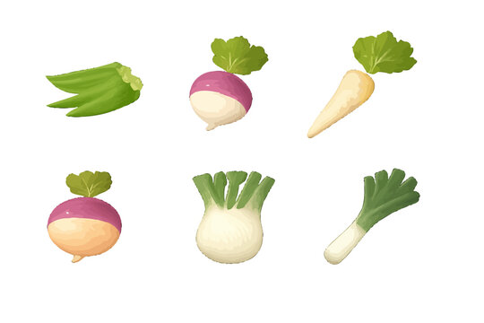 Collection of fresh root vegetables and greens on a white background.