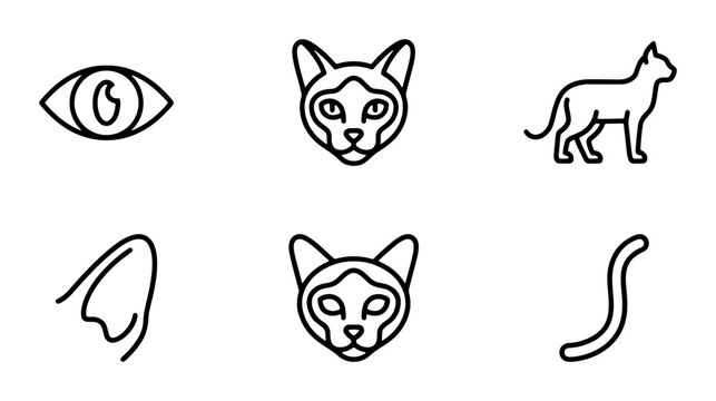 Minimalist Cat Icons Set: Feline Face, Body, Tail, Eye, Ear, Vector Graphics
