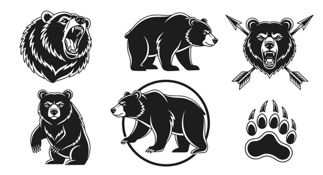 Collection of Black Bear Illustrations and Graphics.