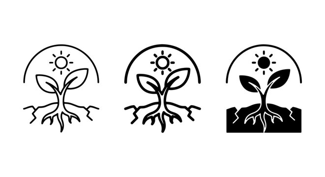 Seedling Growth Icons, Plant Sprout Stages, Root System Development, Organic Farming Vector Set