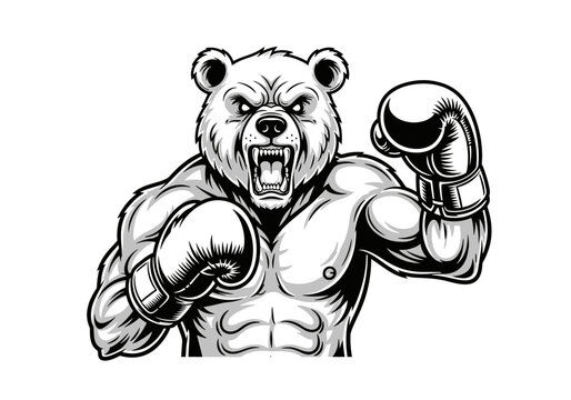 Muscular bear wearing boxing gloves fighting.