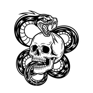 Snake Wrapped Around Human Skull.