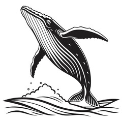 Humpback Whale Breaching Ocean Waves with Splash in Black and White Illustration © MONJURUL