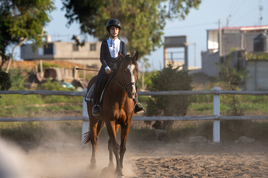 Focused young girl riding her horse outdoors