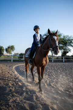 Young equestrian riding horse in outdoor arena