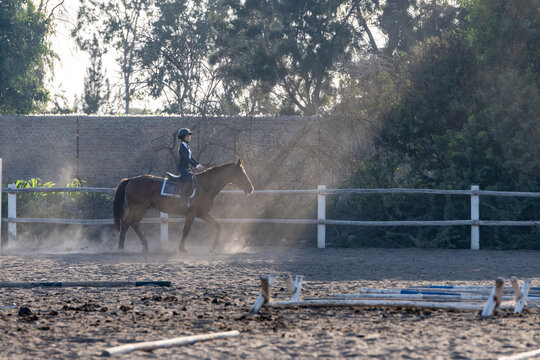 Young equestrian training with horse in dusty riding arena