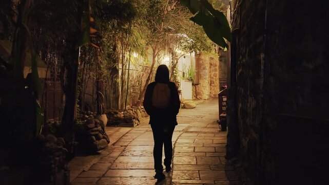 Lanternlit night walking on cobblestone pathway with solitary backpacker framed by ivy and warm glow, quiet stone lane lined with plants and vintage doorways, gentle reflections on flagstones,
