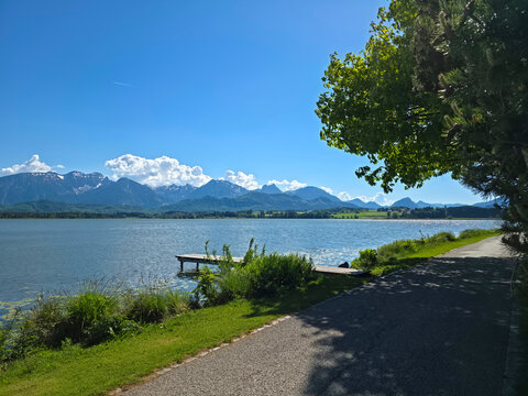 Germany, Tree lined hiking path beside Hopfensee with alpine mountains and vivid blue sky