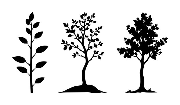 Solid black icon, white background: reforestation tree sapling set with simple line art design featuring simple design, minimalist, black and white with illustrations and graphics