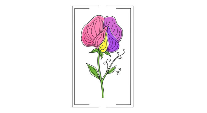 Hand-drawn watercolor sweet pea flower with pink and purple petals in a simple frame