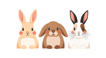 Obraz premium Three different breeds of rabbits in beige, brown, and spotted patterns sitting together and looking forward.
