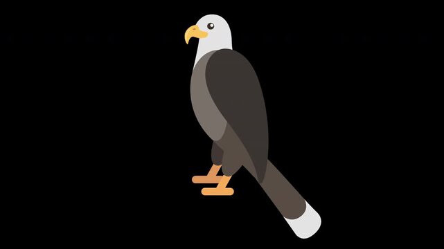 Bald Eagle Illustration &ndash; Vector Art