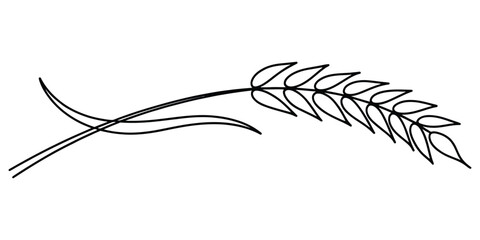 Minimalist single line drawing of a wheat ear stalk © Pulok