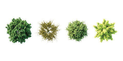 Set of four different green trees seen from above for landscape design and architectural planning ©  Designer