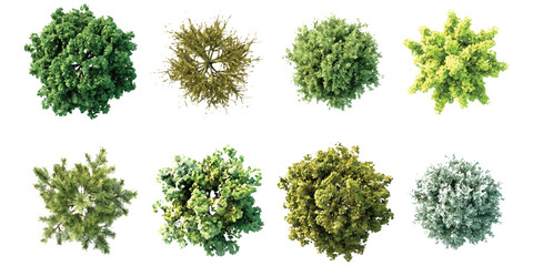 Obraz premium Set of eight various green trees seen from above for architectural landscape design plans