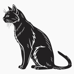 black and white cat © Surujjaman