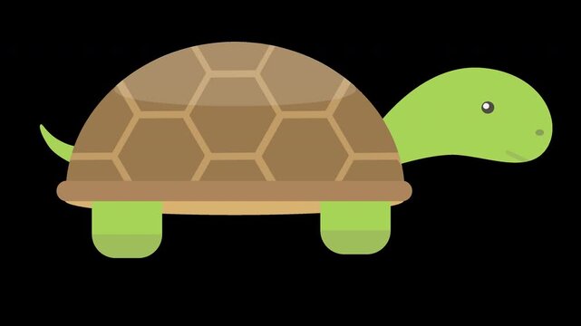 Cute Turtle Illustration