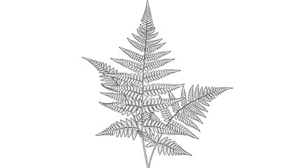 Detailed 2D CAD Vector illustration of a large fern leaf overlapping geometric shapes © Stock Image Paradise
