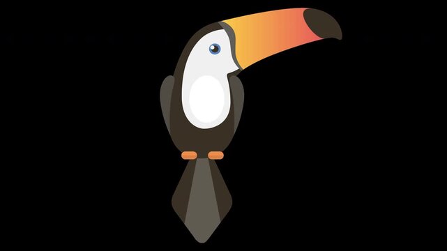 Cute Toucan Illustration