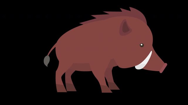 Wild Boar Illustration - Cute Animal