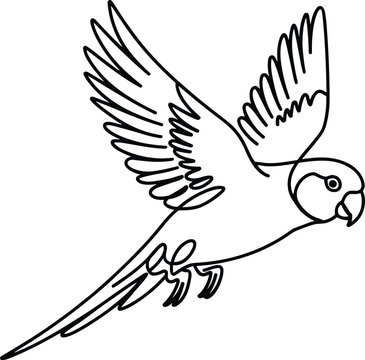 Parrot in flight minimalist line art single continuous stroke white background stock illustration
