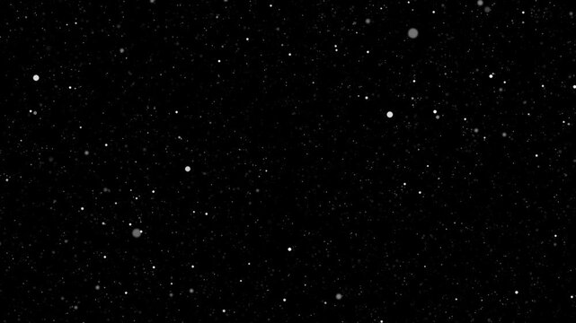 Seamless looped white particles animation moving smoothly and randomly on black background. Random particles accelerating for brief moment