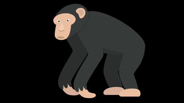 Cute Chimpanzee Illustration