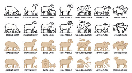 Sheep Collection: Grazing, Standing, Ewe Lamb, Ram, Wool, Flock Icons © nia