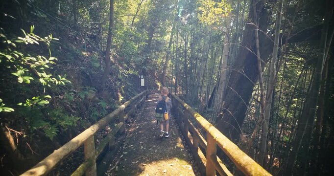 Lone little boy walking on path through bamboo thicket in Japan - steady cam shot
