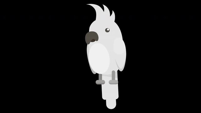 Cute White Cockatoo Illustration