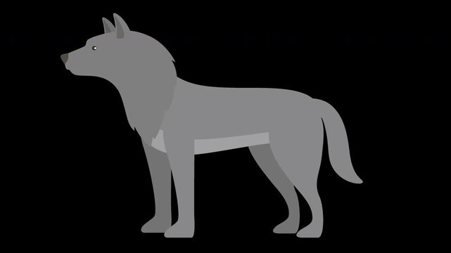 Gray Wolf Illustration - Side View