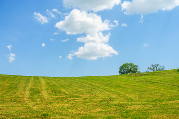 Obraz premium Vast green rolling hills under a bright blue sky with fluffy white clouds