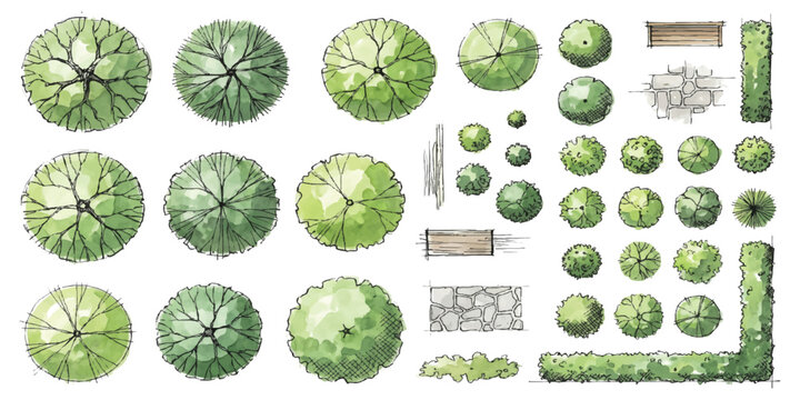 Top view set of architectural trees and landscaping elements for landscape design plans and site layouts