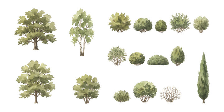 Set of green trees and bushes for landscape design isolated collection of various garden plants and shrubs