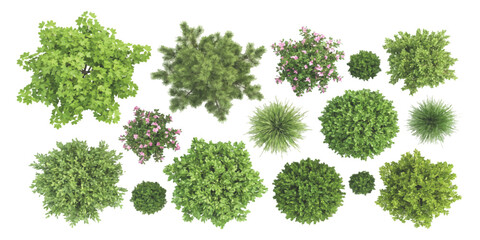 Set of green trees and bushes seen from above for landscape design plans and top view architectural projects © ZenVectors