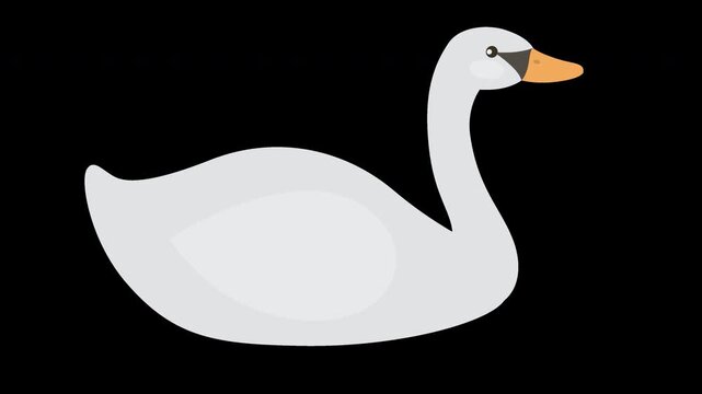 Elegant Swan Illustration