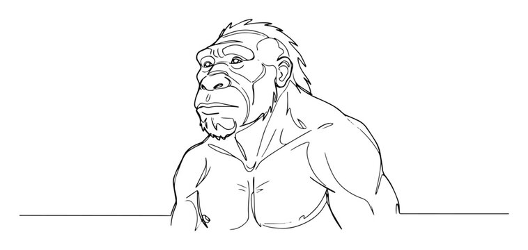 neanderthal man portrait line drawing