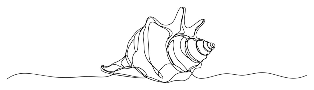 conch shell side view minimalist abstract contour drawing ideal for posters and branding