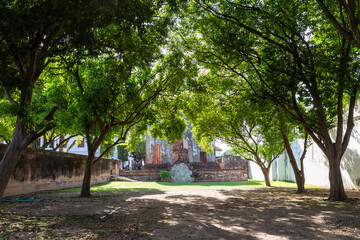 Obraz premium A beautiful shaded courtyard with large green trees leading towards historical ancient brick ruins.