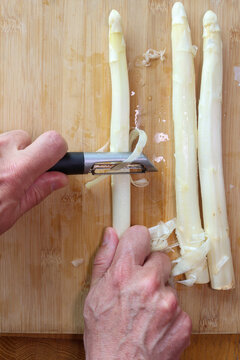 Peeling white asparagus to remove the outer layer of cellulose, preparing it for cooking.
