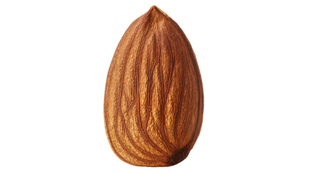 Single raw almond with textured brown skin, isolated on transparent background