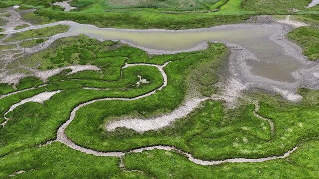Aerial view flying over winding tidal creeks and salt marsh