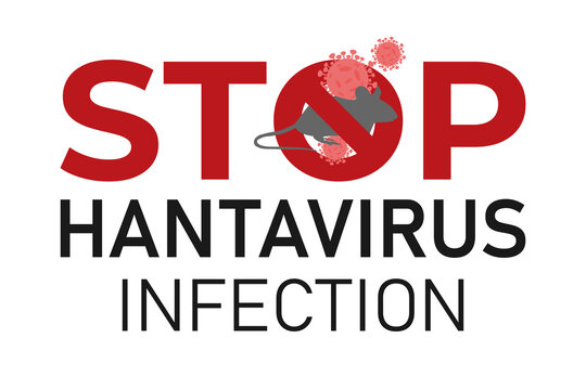 Stop hantavirus infection. Hantavirus pulmonary syndrome (HPS). A dangerous hantavirus carried by rodents. 
