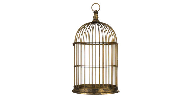 Antique ornate brass birdcage with domed roof, isolated on transparent background