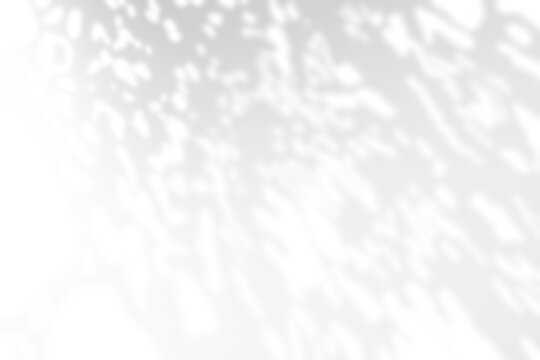 Abstract leaves shadow overlay effect background texture