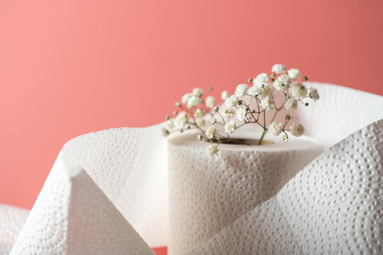 A roll of toilet paper rests by gypsophila flowers on a pink background, highlighting comfort