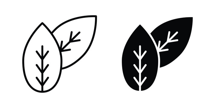 Tobacco leaves icon vector illustration on white