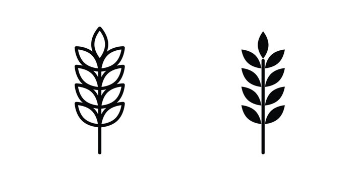 Wheat icon vector illustration on white