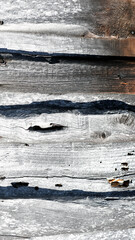 Naklejka premium Wooden texture old boards. vintage dried boards. background for presentations and text. Abstract texture of old boards. the wood is destroyed. wood texture. knots, imperfect surface. close-up