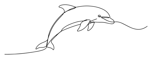 dolphin jumping out of water © Wieslaw
